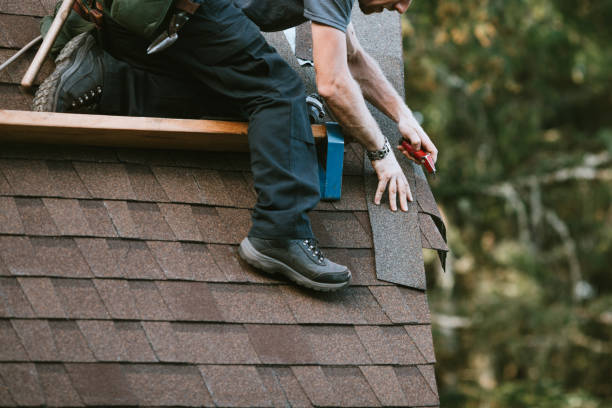 Best Roof Repair Specialists  in Hebron, IL