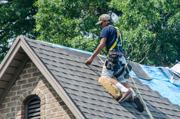 Best Roof Restoration Services  in Hebron, IL