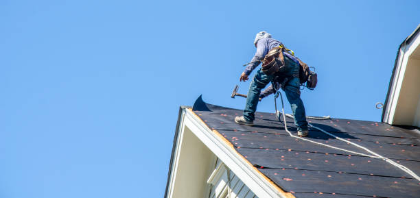Best Roof Waterproofing Services  in Hebron, IL